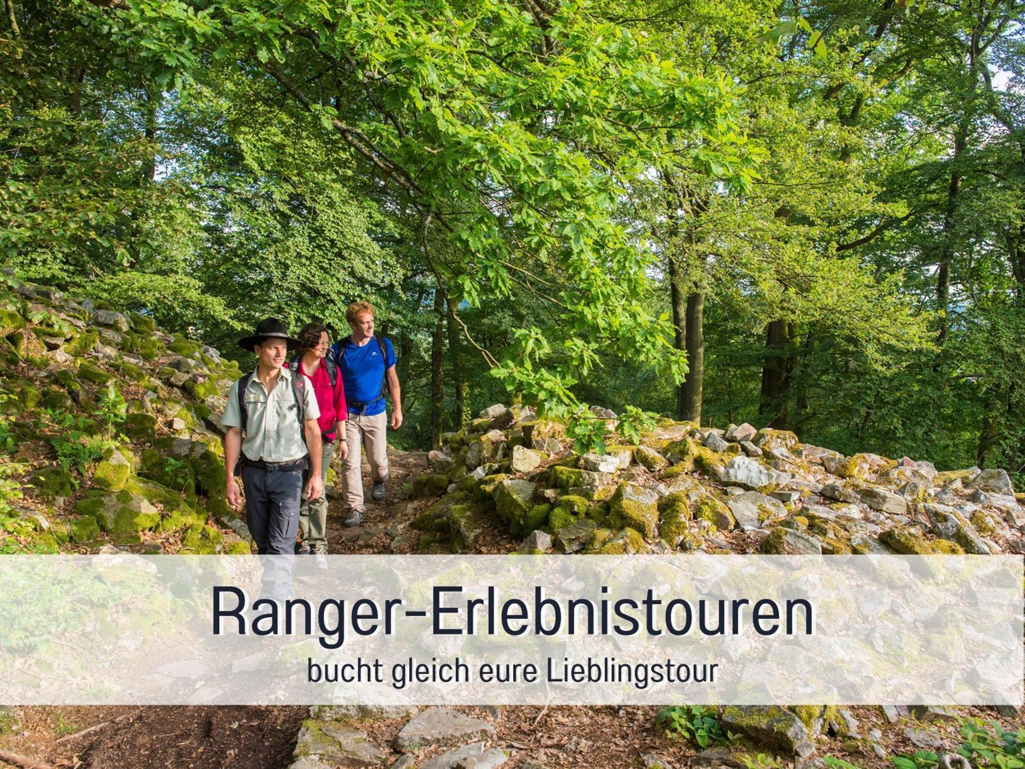 4 Sterne Ferienhaus "Zum Weiher" Allenbach Zewnętrze zdjęcie